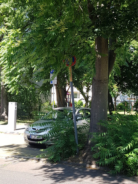 Verkehrsschau in Berlin